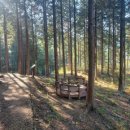 하동편백자연휴양림 이미지