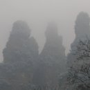 황실장가계 이미지