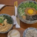 백소정강남