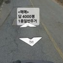 서부산부동산중개사무소 이미지