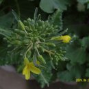 양지 어린이집 이미지