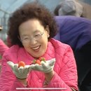 도여사고깃집 | [과천] 서울대공원 리프트 타고 벚꽃 나들이 댕겨왔어요🌸/ 과천 우리곳간 고깃집