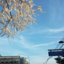 식구디자인