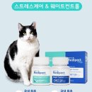 플러스메디 이미지