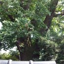 염곡동 어린이공원 이미지