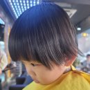 마샬헤어모드 - 사천시 | 마샬헤어모드