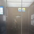 제주 담빈하우스 | 제주도 | 배불뚝이 임산부의 12월 제주🤰🏻