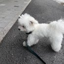 뉴케어 동물병원 이미지