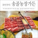 송골농장 이미지