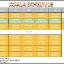 크로스핏코알라 이미지