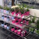 베르디사우나 이미지