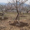 장유농장 이미지