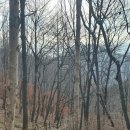 자미원역 이미지