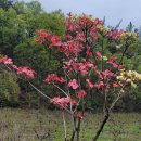 화남농장 이미지