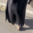 코스모수선 이미지