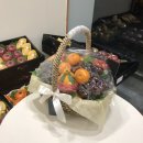 달푸르츠 이미지