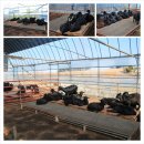 불소농장 이미지