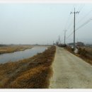 남천제방길 이미지