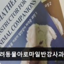 포항반려견교육센터
