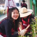 세곡초교 이미지