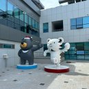 광주 남구 반다비 체육센터 수영 기초반 등록 후기 수영장 헬스장 소개