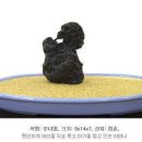 배춘 이미지