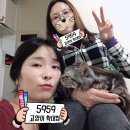 반야세탁소 | 11월 일상 포스팅이에요~