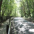 백담계곡 이미지