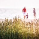 바다와 함께하는 곳 이미지