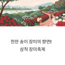 송이축제 문화유적탐방버스 | 삼척 장미축제 완벽 가이드: 기간, 장소, 주차, 행사 정보 총정리! (오십천, 천만송이)