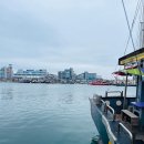 윤이약국 | 군산 쭈꾸미 낚시 후기] 가족과 함께한 4시간 체험, 손맛 제대로 느꼈어요!