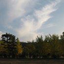 한국전통염색학교