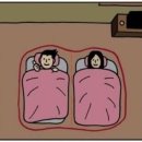 놈모텔 이미지