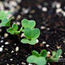 세경농장 이미지