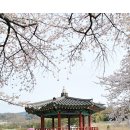 면천군자정 이미지