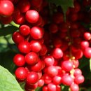 만해농장 이미지