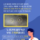 덕계 원 동물병원 이미지