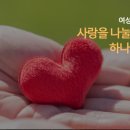 에이스팜 주식회사 이미지