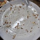 내눌삼거리방조제앞 | [안산 맛집] 신선한 바지락으로 즐기는 대부도손칼국수 "북동삼거리손칼국수 대부도본점"