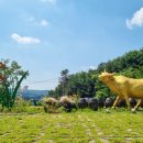 이천농업테마공원 버드나무쉼터 | 가족 나들이하기 좋은 이천 추천여행지 이천농업테마공원