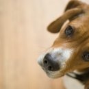 이병천농장 이미지