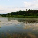 중부낚시터 이미지