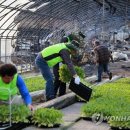 희망이 움트집 연합뉴스