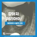 씽씽 동물의료센터 이미지