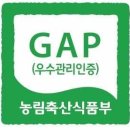 도향축산 Daum카페
