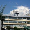 산호초등학교(병설유치원) 이미지