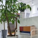 신생한의원 이미지