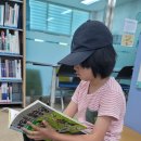 봉평도서관 이미지