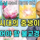 정토삼부경 머리말 오디오 개선본(장현정님 낭독) 이미지