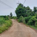 온평리-9 이미지